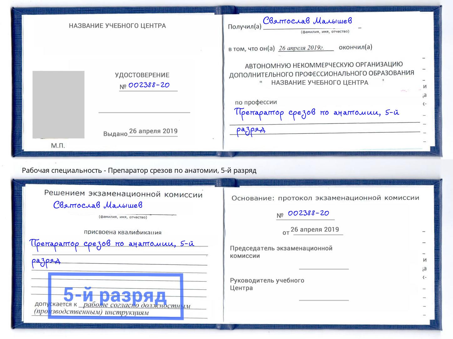 корочка 5-й разряд Препаратор срезов по анатомии Изобильный